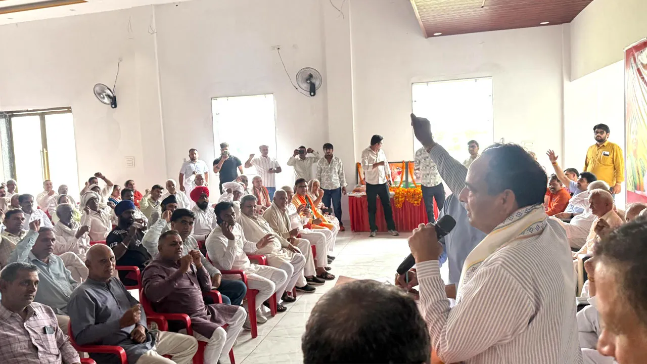 संगठन की मजबूती के लिए पूरी ताकत से मेहनत करें कार्यकर्ता- बडोली 