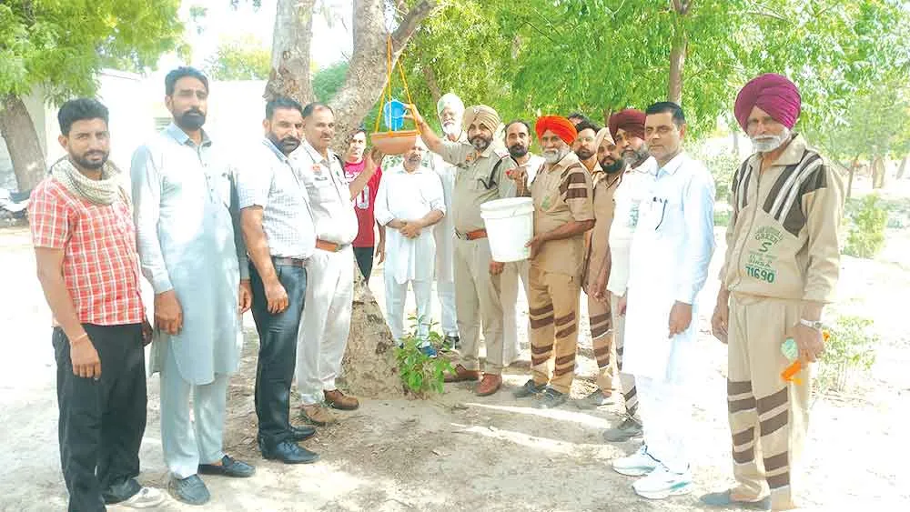 बड़ागुड़ा में थाना प्रभारी ने दिया पक्षियों के संरक्षण एवं पर्यावरण जागरूकता का सन्देश