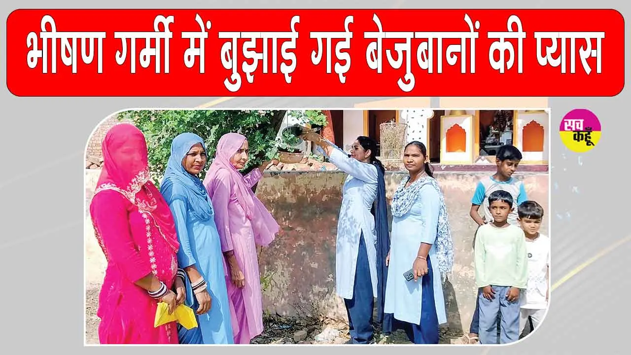 बेजुबानों के लिए सेवादारों के इस सराहनीय प्रयास ने छू लिया सबका दिल