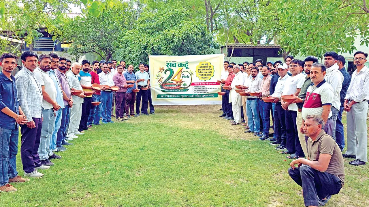 Sach Kahoon 24th Anniversary: पक्षियों के लिए दाना-पानी बाँटकर मनाई सच कहूँ की 24वीं वर्षगांठ
