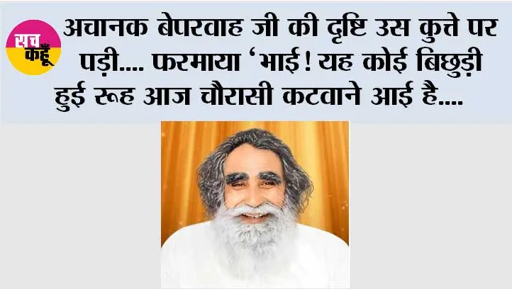 अचानक बेपरवाह जी की दृष्टि उस कुत्ते पर पड़ी.... फरमाया ‘भाई! यह कोई बिछुड़ी हुई रूह आज चौरासी कटवाने आई है....