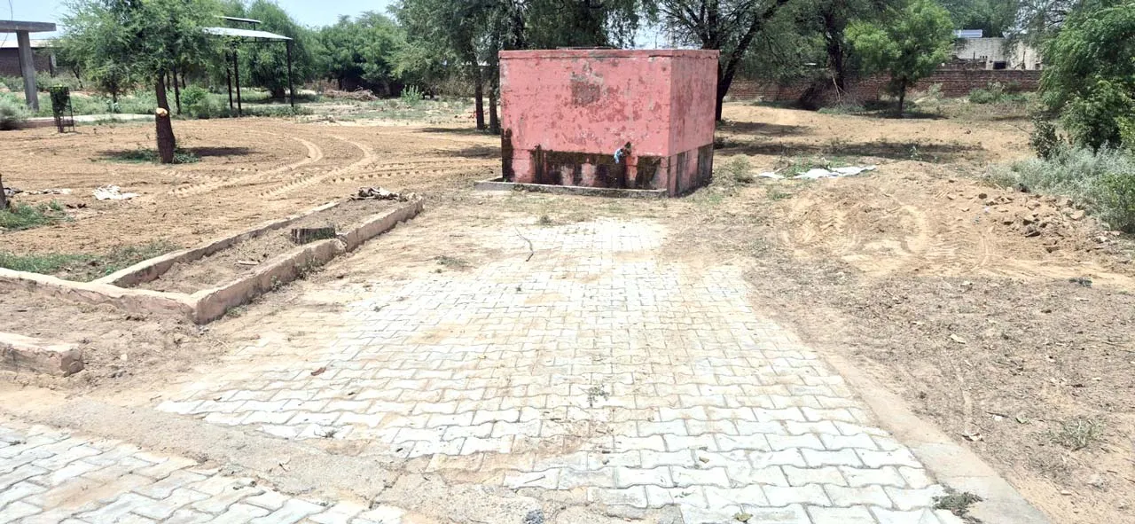 Sirsa (2)