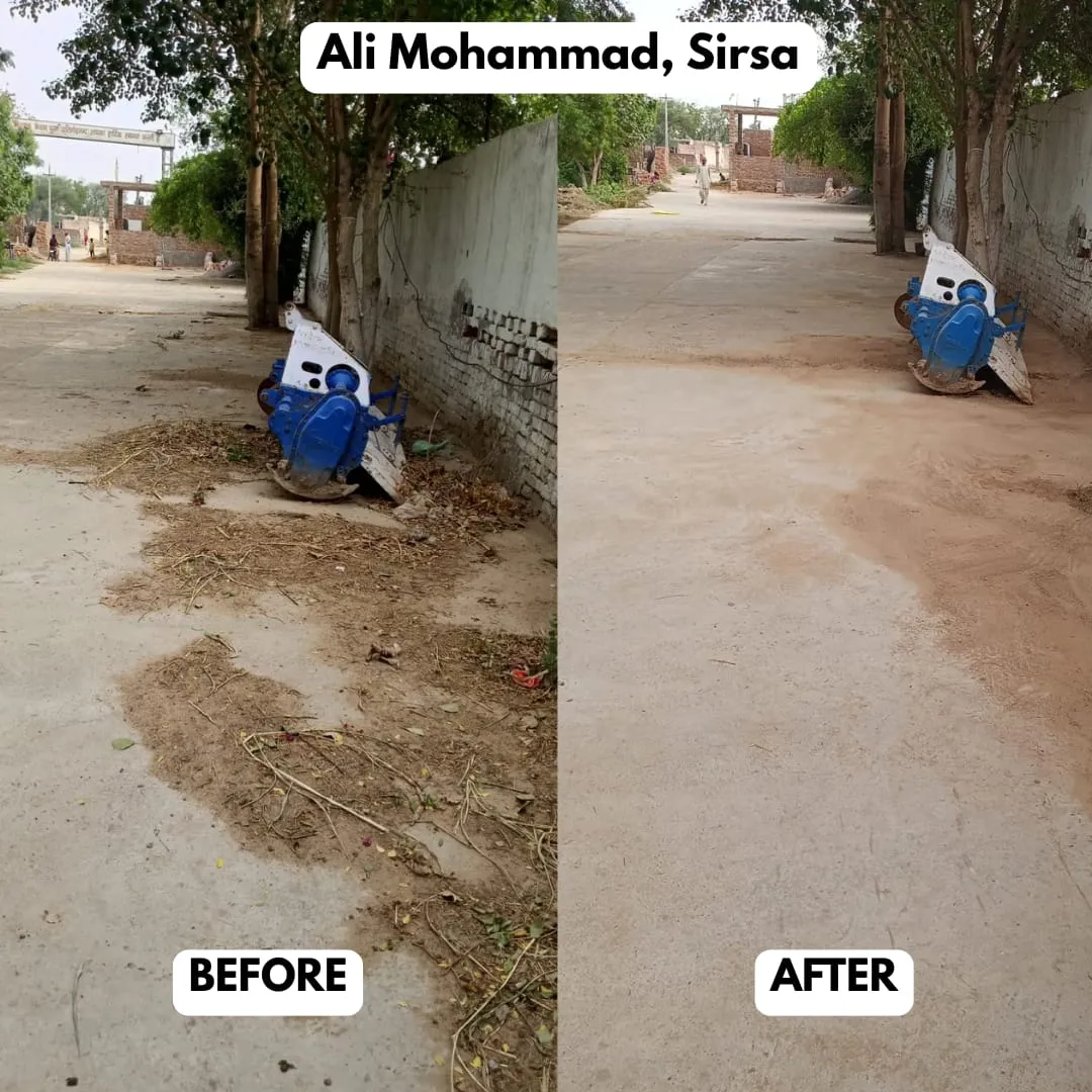 Sirsa (4)