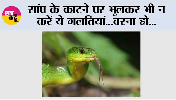 Snake Bite First Aid: सांप काटने पर मरीज को क्या दें और क्या न दें, जानिए पूरी जानकारी