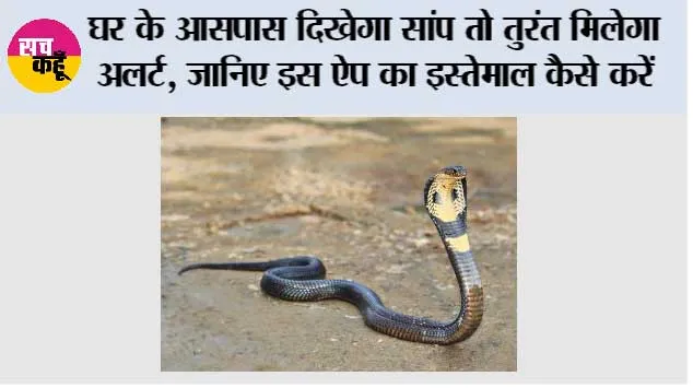 Snake Escape App: घर के आसपास दिखेगा सांप तो तुरंत मिलेगा अलर्ट, जानिए इस ऐप का इस्तेमाल कैसे करें
