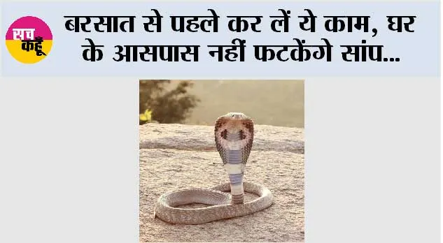 Snake Free Home: बरसात से पहले कर लें ये काम, घर के आसपास नहीं फटकेंगे सांप...