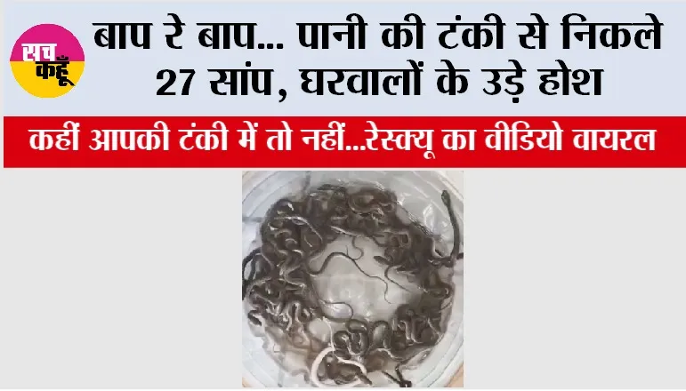 Snake News