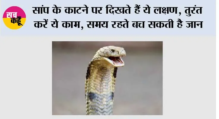 Snake News: सांप के काटने पर दिखते हैं ये लक्षण, तुरंत करें ये काम, समय रहते बच सकती है जान