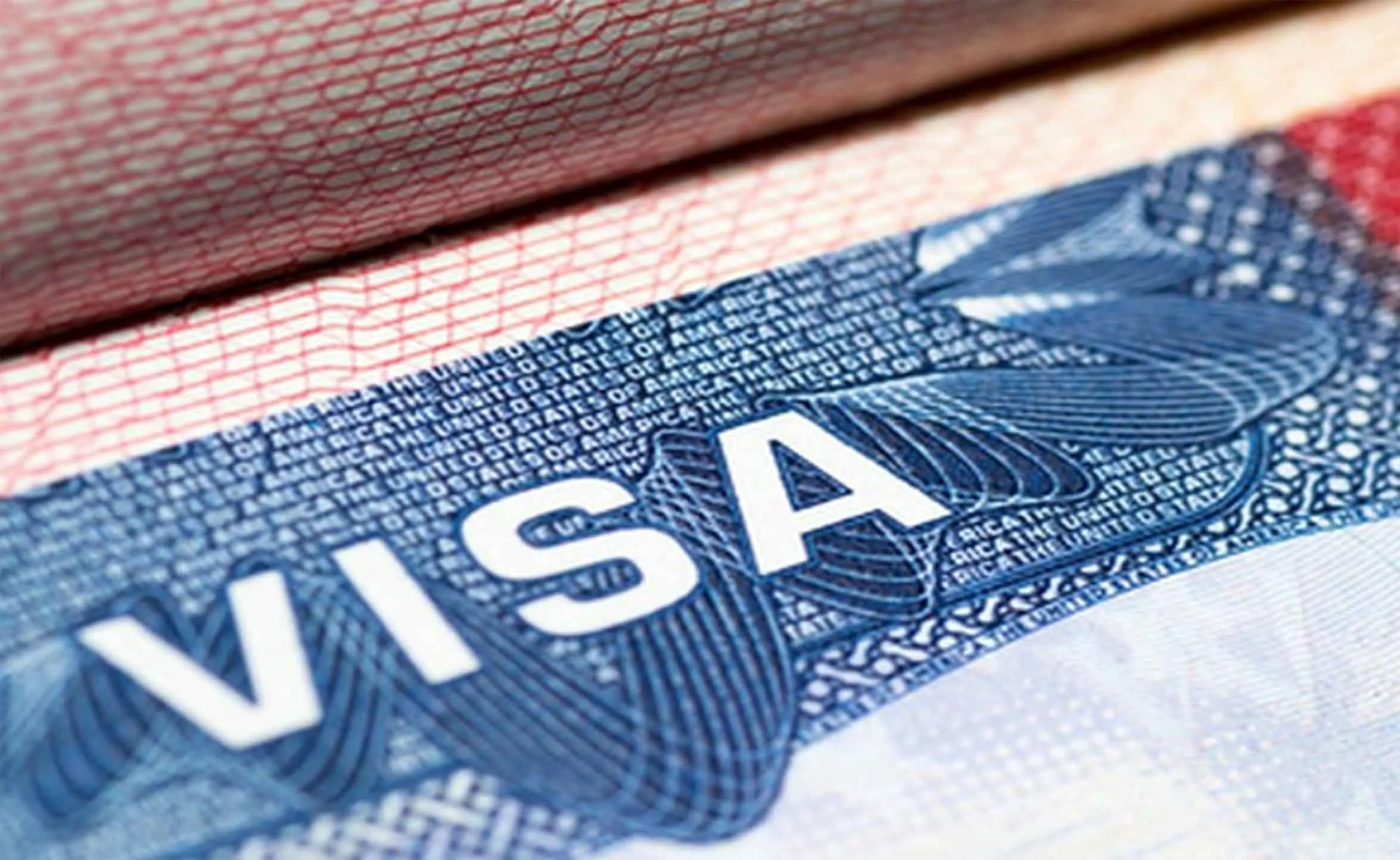 H1B Visa India: वैश्विक वीजा कार्यक्रमों में भारत का दबदबा: H-1B में नंबर 1, ब्रिटेन और EU ब्लू कार्ड में दूसरे स्थान पर भारतीय