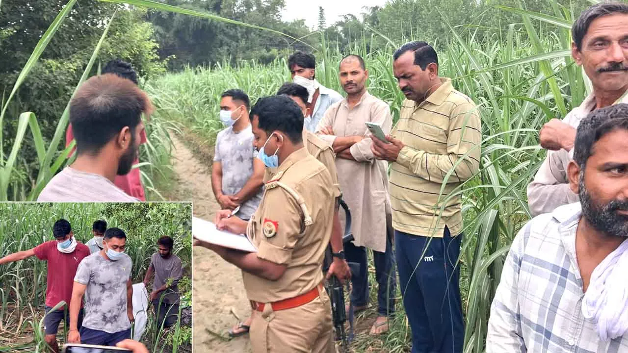 पेड़ पर लटका मिला सड़ागला शव, फैली सनसनी, नहीं हुई शिनाख्त