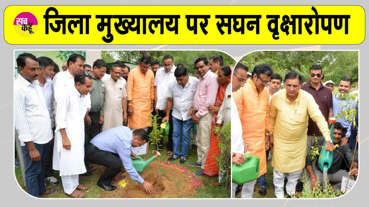 Churu Tree Plantation: डबल इंजन सरकार, कर रही हरियालो राजस्थान का संकल्प साकार