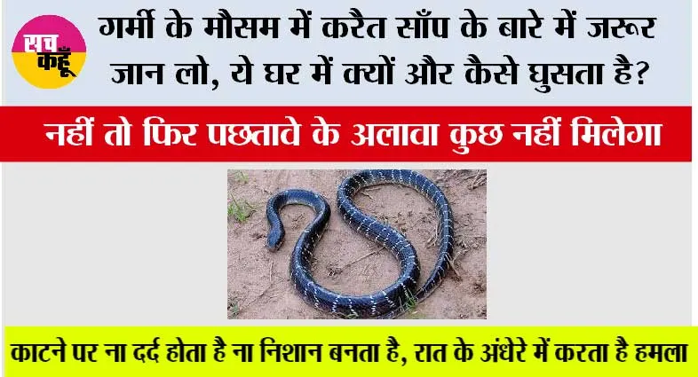Common krait Snake: कोबरा से भी ज्यादा जानलेवा साबित होता है करैत, रात में सोते समय करता है हमला; शुरुआती लक्षण भी नहीं आते नजर