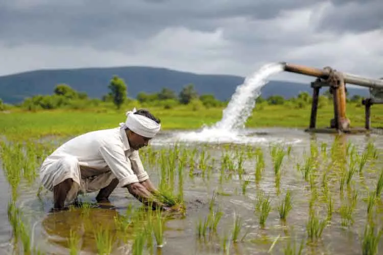 Agriculture News: अल नीनो की संभावना को देखते हुए किसानों से वैज्ञानिक खेती अपनाने की अपील