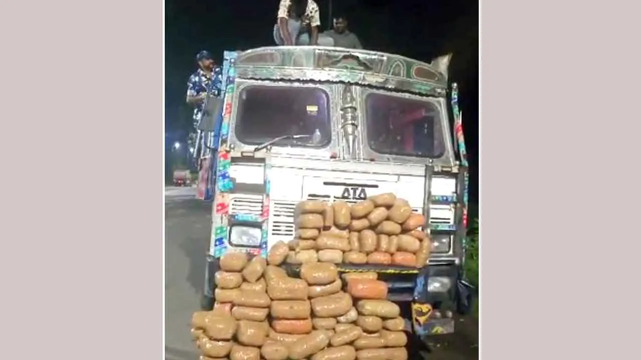 गांजा तस्करी के खिलाफ बड़ी कार्रवाई, सात आरोपी गिरफ्तार