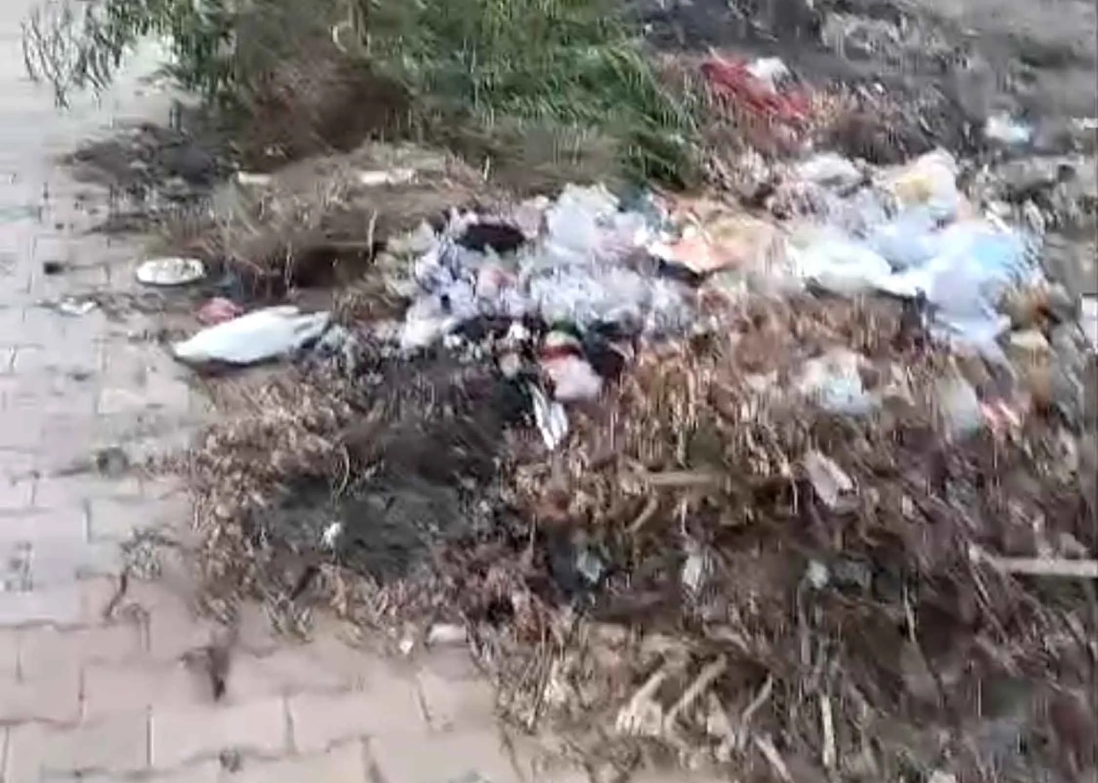 नेहरू मेमोरियल चिल्ड्रन स्कूल पार्क की बदहाल स्थिति, सफाई व्यवस्था पर उठे सवाल 