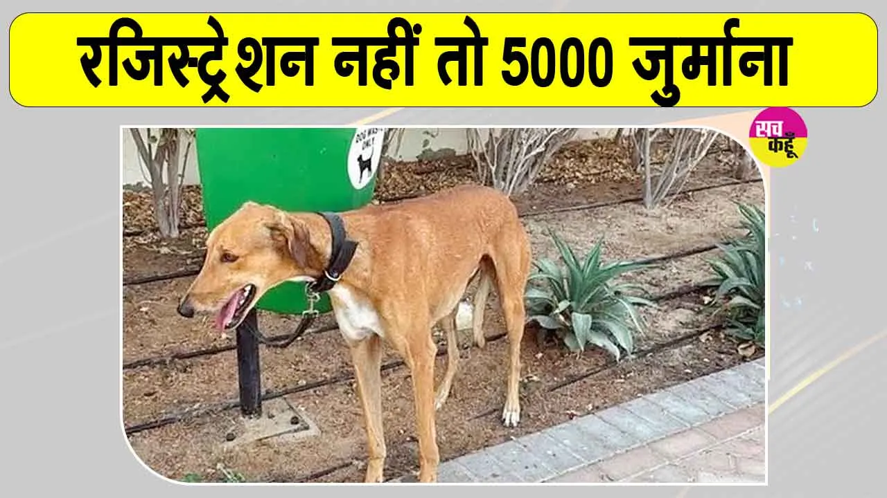 Pet Dog-Cat Registration: ख़बरदार! कुत्तों-बिल्लियों का रजिस्ट्रेशन नहीं कराया तो लगेगा 5 हजार जुर्माना