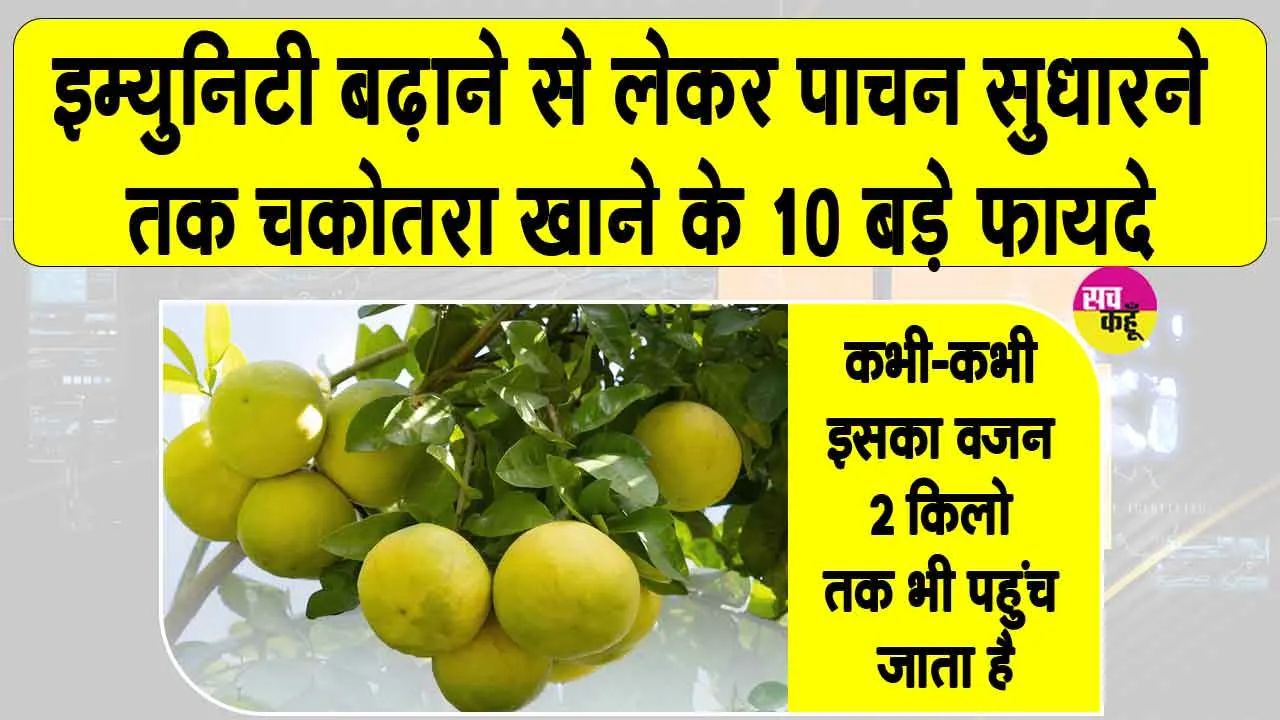 Pomelo Benefits: जितना बड़ा फल, उतने बड़े फायदे,  खट्टे फलों का बादशाह चकोतरा