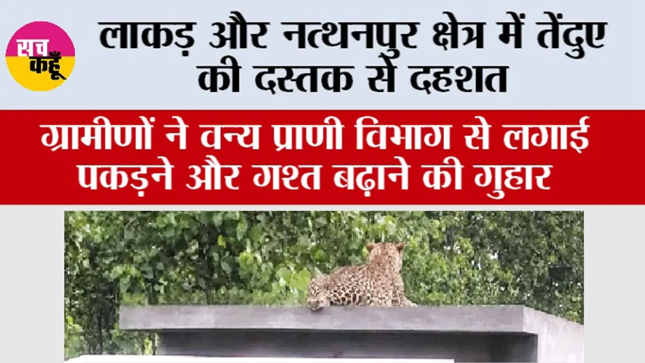 Pratap Nagar News