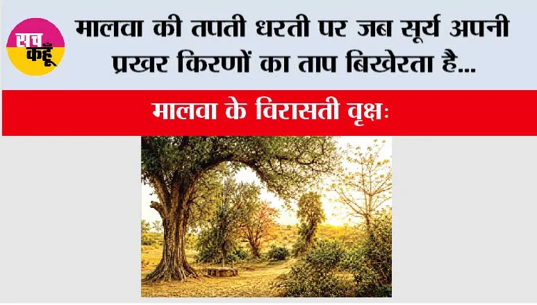 मालवा की तपती धरती पर जब सूर्य अपनी प्रखर किरणों का ताप बिखेरता है...
