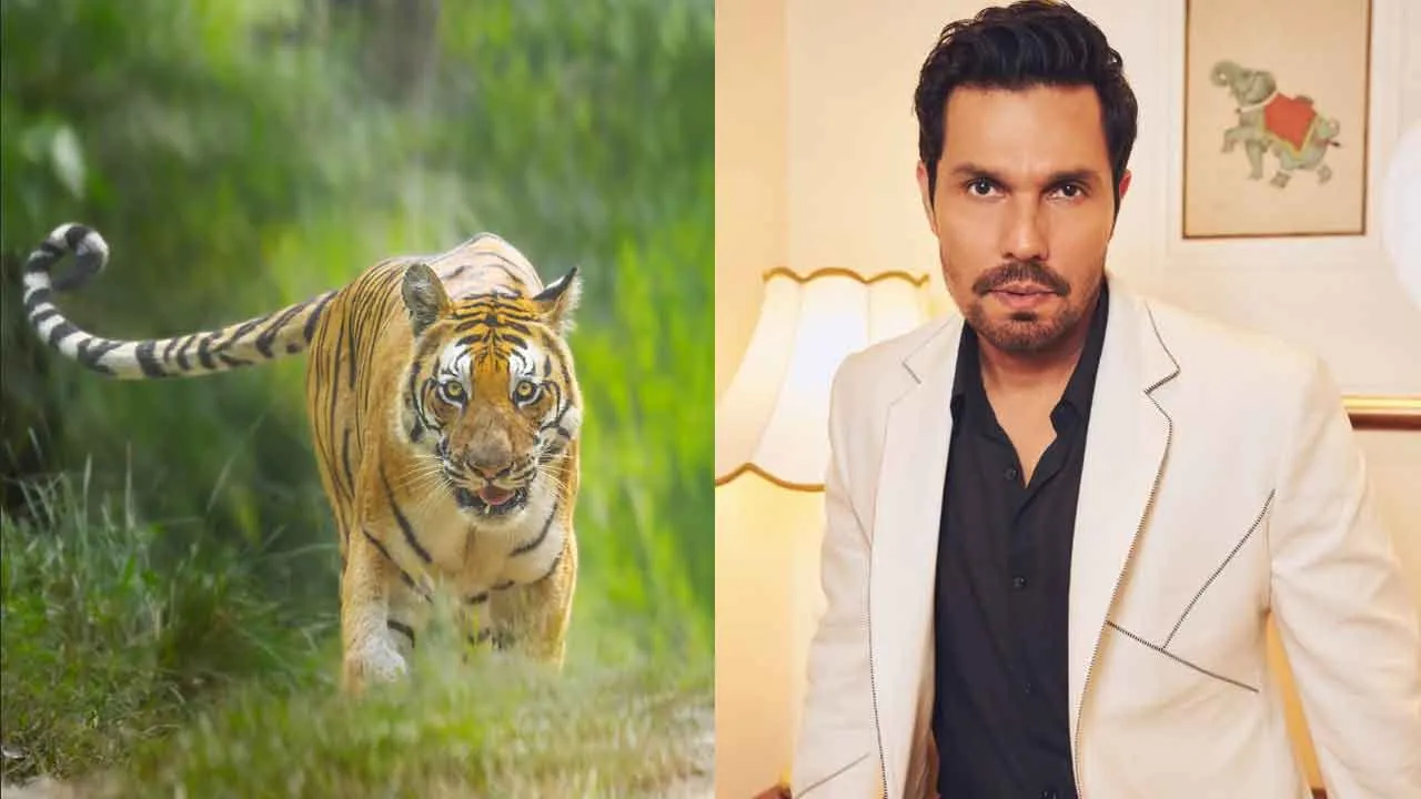 World Tiger Day: विश्व बाघ दिवस पर रणदीप हुड्डा ने दिया वन्यजीव संरक्षण का संदेश