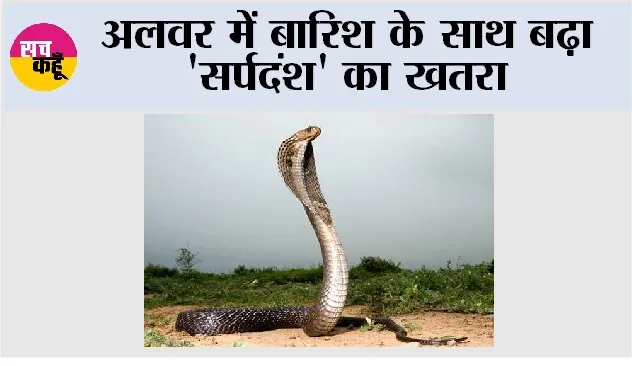 Snake News
