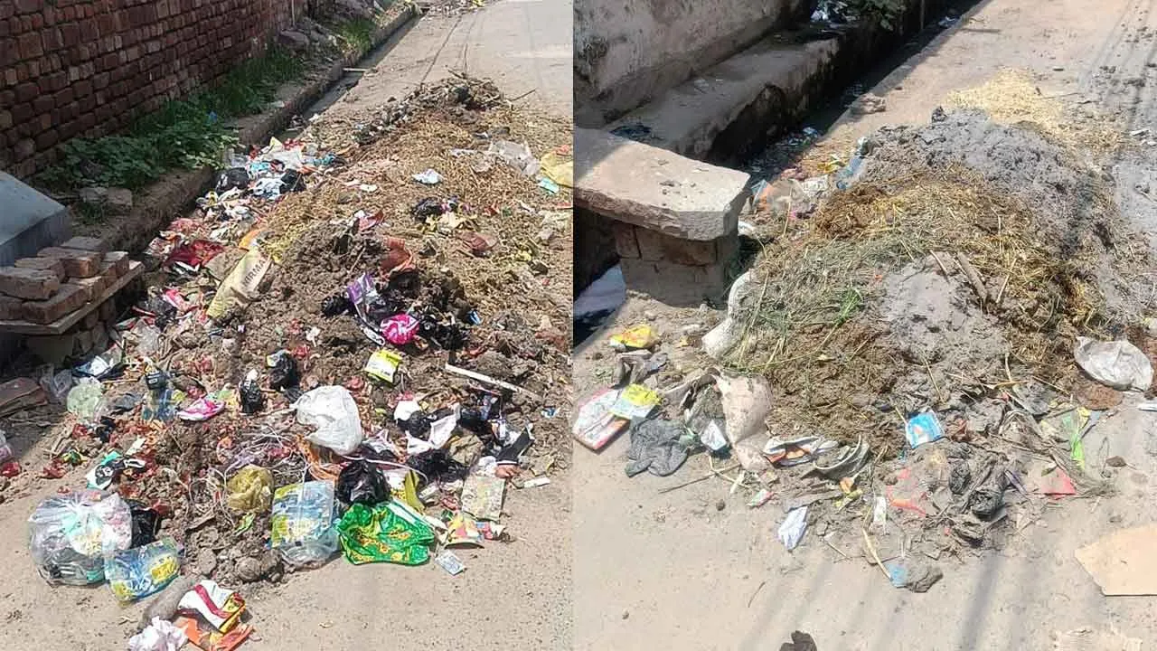रूपनगर में गंदगी का अंबार, गलियां बनीं कचरे का ठिकाना 