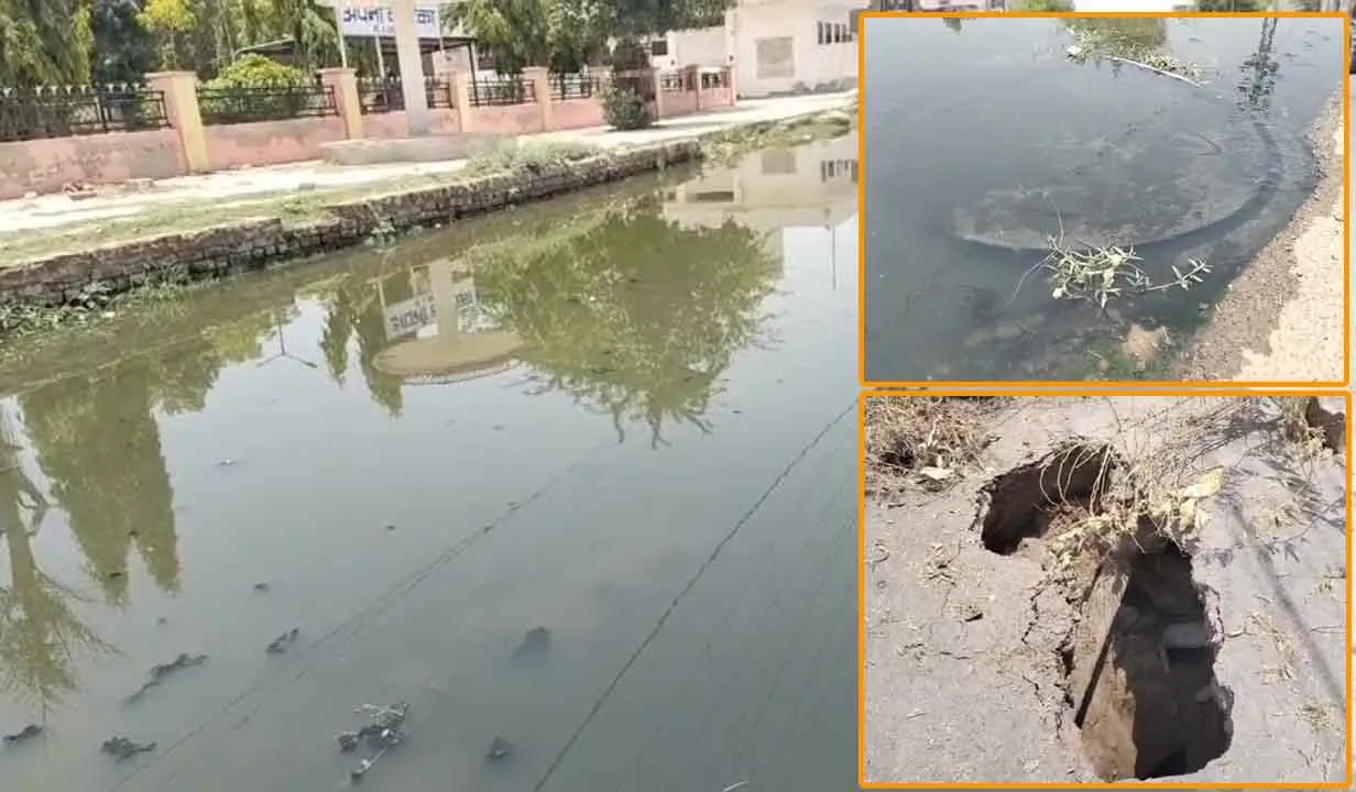 Hanumangarh News: डेढ़-दो साल से सीवर लीकेज बनी मुसीबत, अपनी वाटिका पार्क के पास गंदे पानी की 'झील से लोग बेहाल