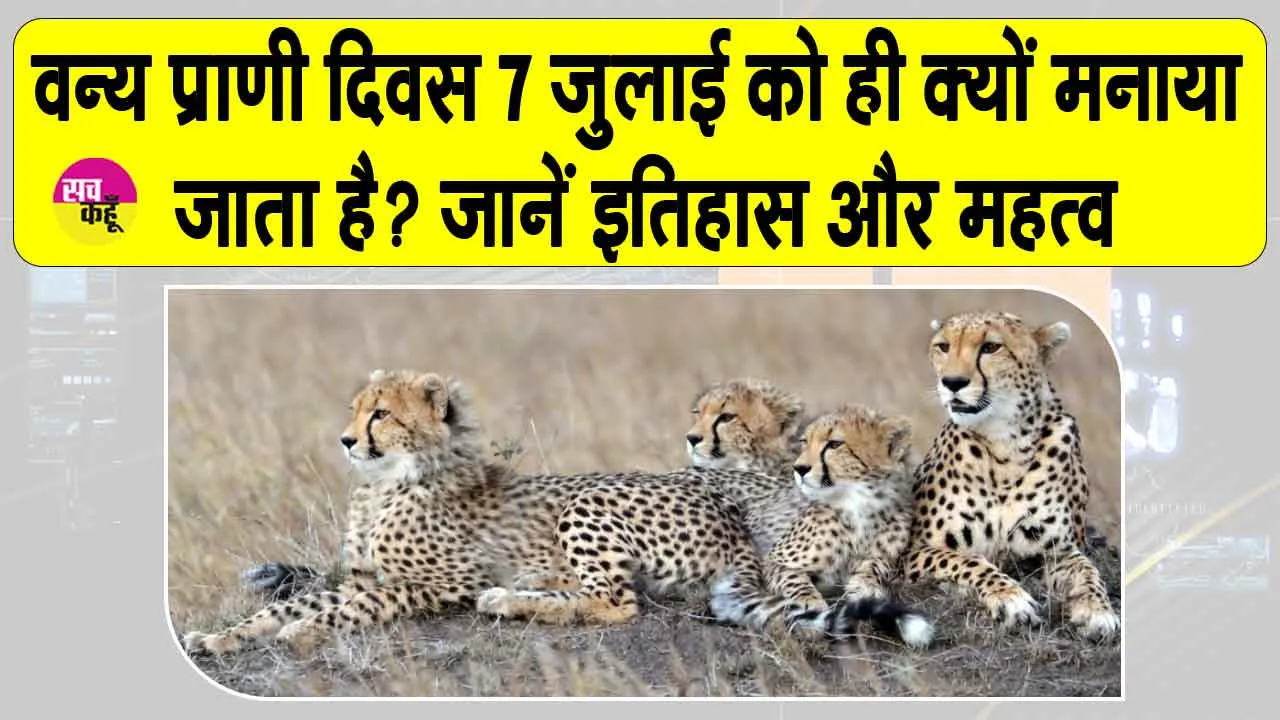 Wild Animal Day 2026: जब भारत ने पहली बार जंगलों की आवाज सुनने का संकल्प लिया