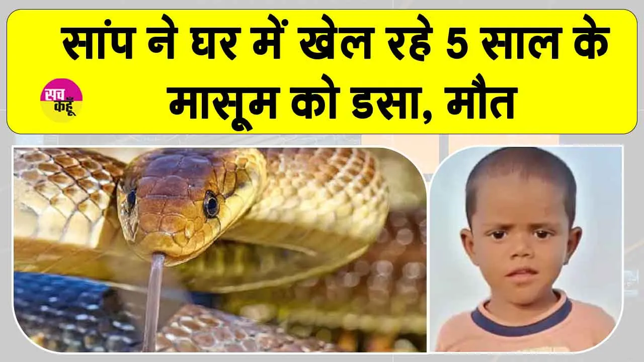 Snake News: घर में खेल रहे पांच वर्षीय मासूम को सांप ने डसा, अस्पताल पहुंचने से पहले मौत