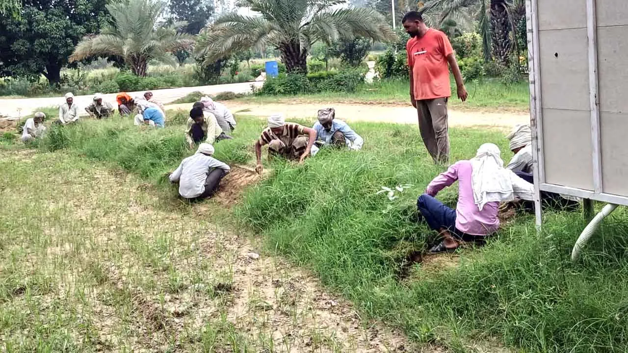 करता है सेवा गुरु का प्यारा, दिल का टुकड़ा आंखों का तारा