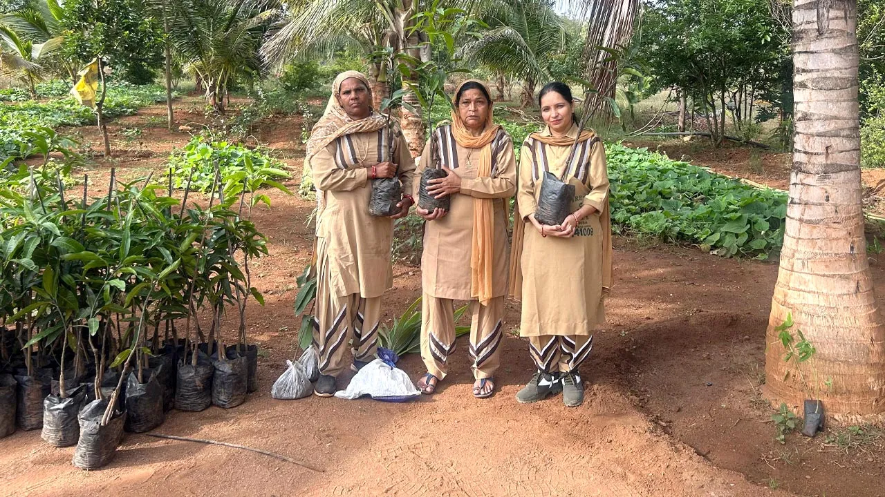 Tree Plantation: पावन अवतार दिवस पर बेंगलुरु और मैसूर की साध-संगत ने किया पौधारोपण