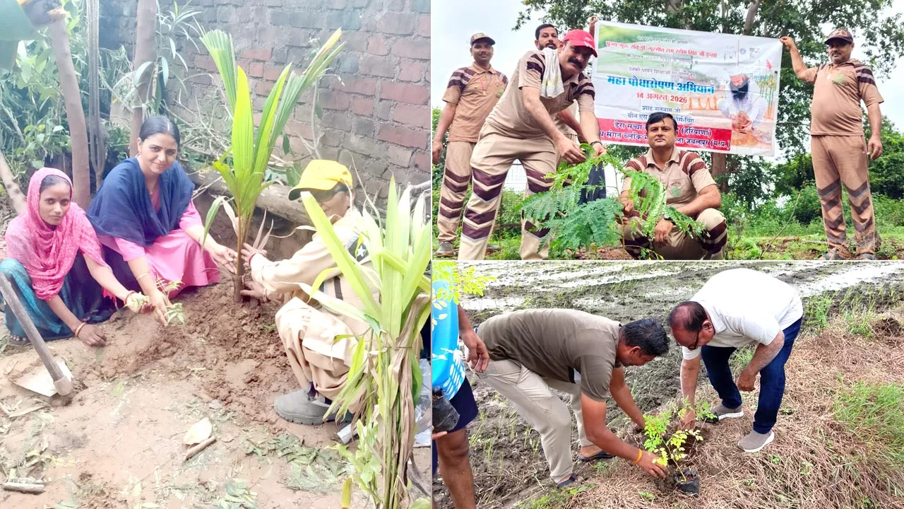 Tree Plantation: पावन अवतार दिवस पर मध्यप्रदेश में छाई हरियाली, साध-संगत ने श्योपुर से बैतूल तक किया पौधारोपण
