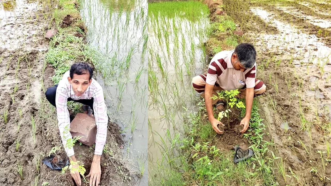 Bhopal News (12)