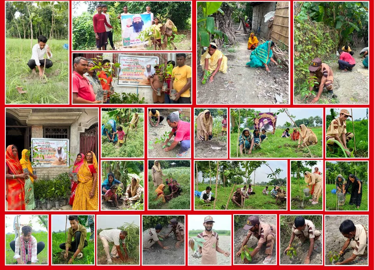 Bihar-Tree-Plantation 
