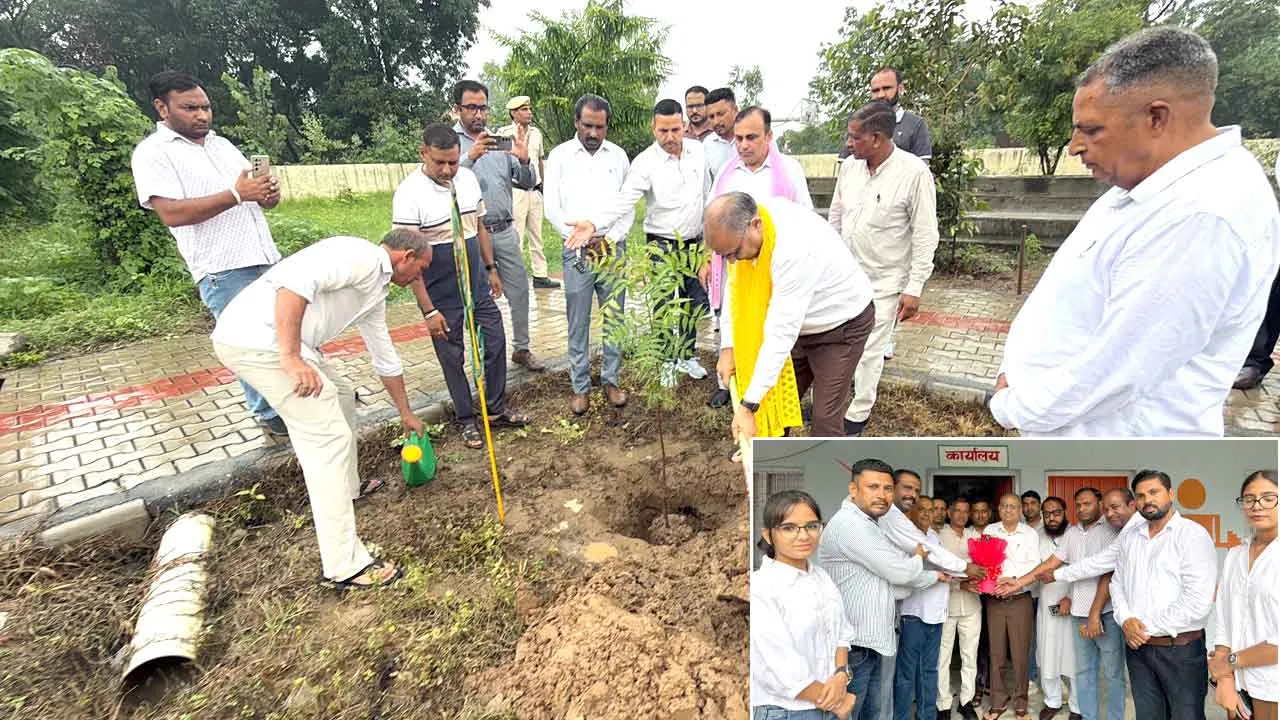 Chhachhrauli News