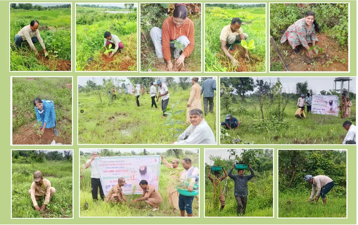 Chhattisgarh-Tree-Plantation-Campaign-2