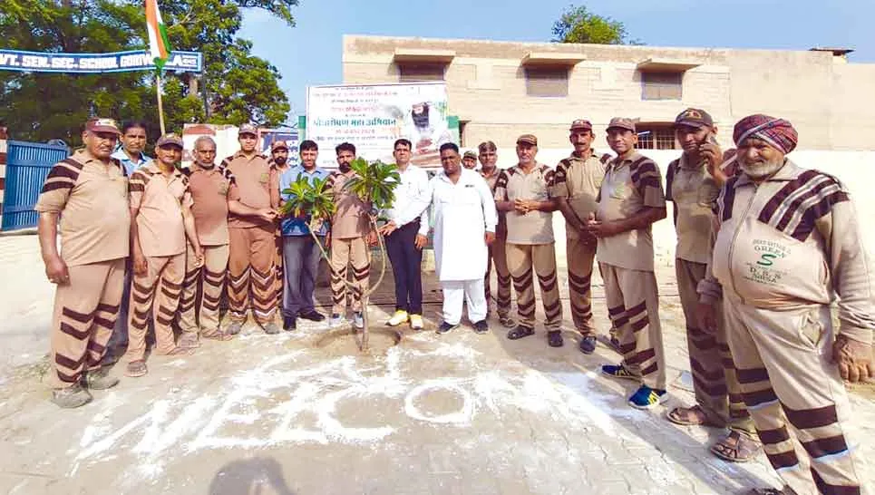 Darewala-TP-2