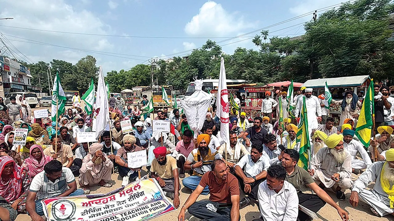 Dirba Mandi News