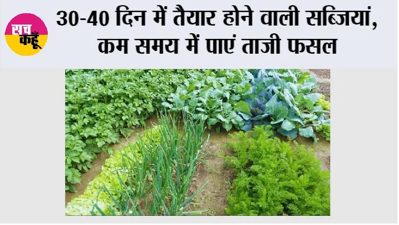 Farming Tips: 30-40 दिन में तैयार होने वाली सब्जियां, कम समय में पाएं ताजी फसल