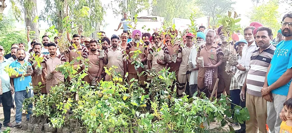 Firozpur 