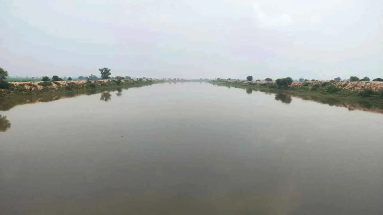Ghaggar News: घग्घर में फिर आया पानी, धान उत्पादक किसानों के चेहरे खिले 