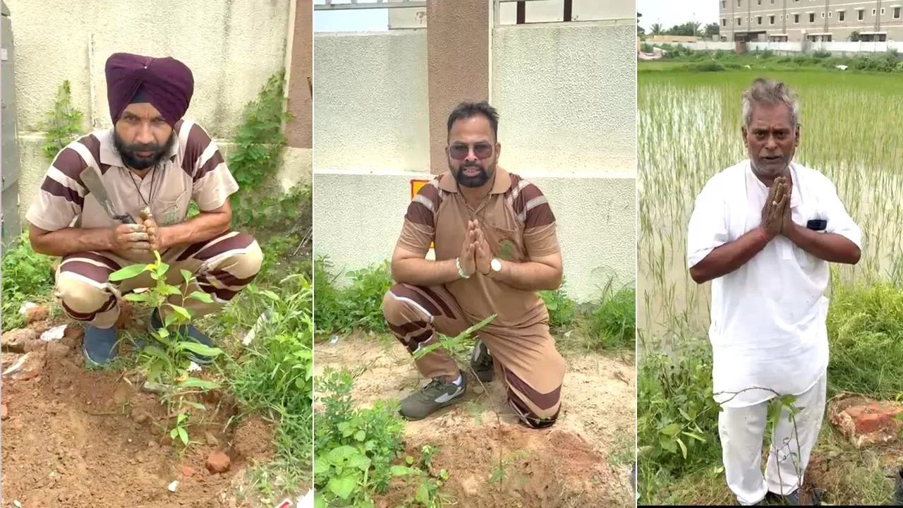 Gujarat: गुजरात में अवतार दिवस पर हरियाली की अनूठी पहल, साध-संगत ने किया पौधारोपण