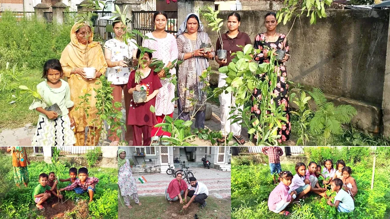 Jammu and Kashmir: सेवा और हरियाली का संदेश लेकर आगे बढ़ी जम्मू-कश्मीर की साध-संगत, अवतार दिवस पर किया पौधारोपण