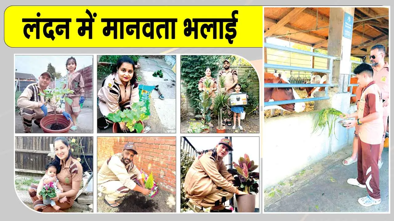 MSG Bhandara 2026: पावन एमएसजी अवतार दिवस पर लंदन के सेवादारों ने हरियाली का संकल्प और जीवदया की पेश की मिसाल