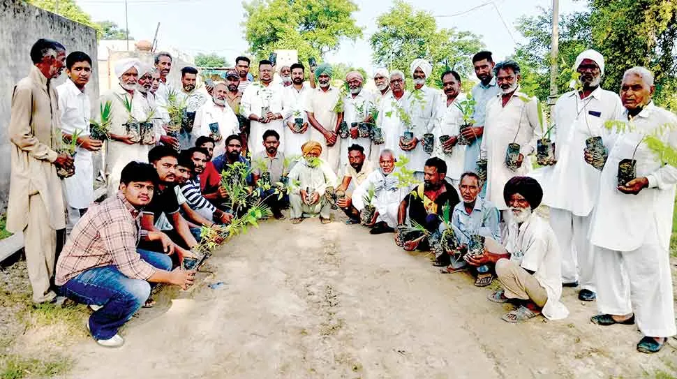 मसीतां ब्लॉक की साध-संगत ने पावन एमएसजी अवतार दिवस की खुशी में  रोपे पौधे  