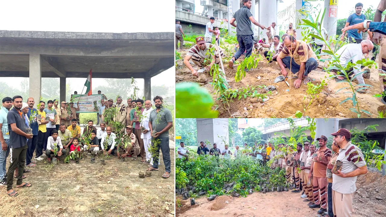 Tree Plantation: डेरा सच्चा सौदा मेरठ जिले की साध संगत द्वारा व्यापक पौधारोपण अभियान