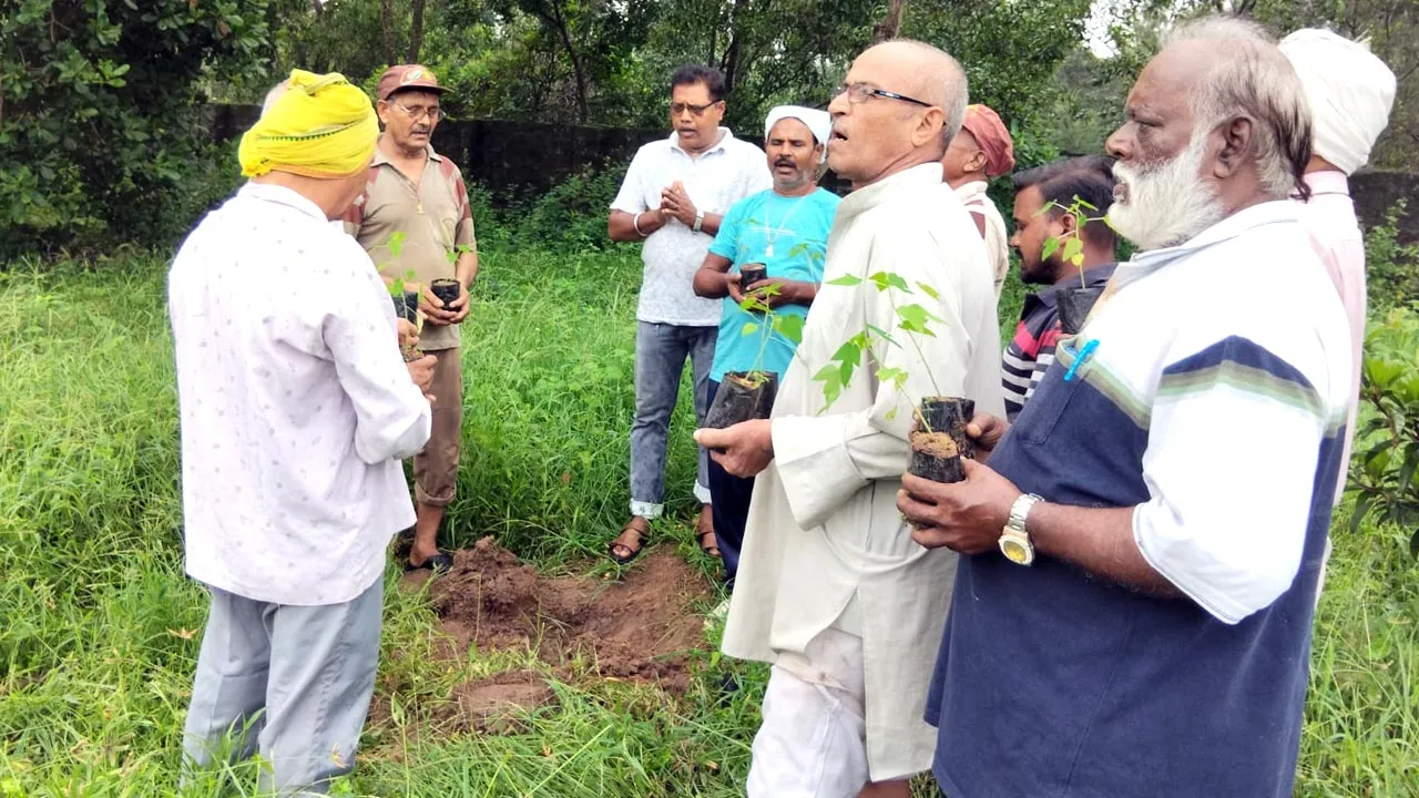 Tree Plantation: ओडिशा की साध-संगत ने पौधारोपण कर मनाया पावन अवतार दिवस