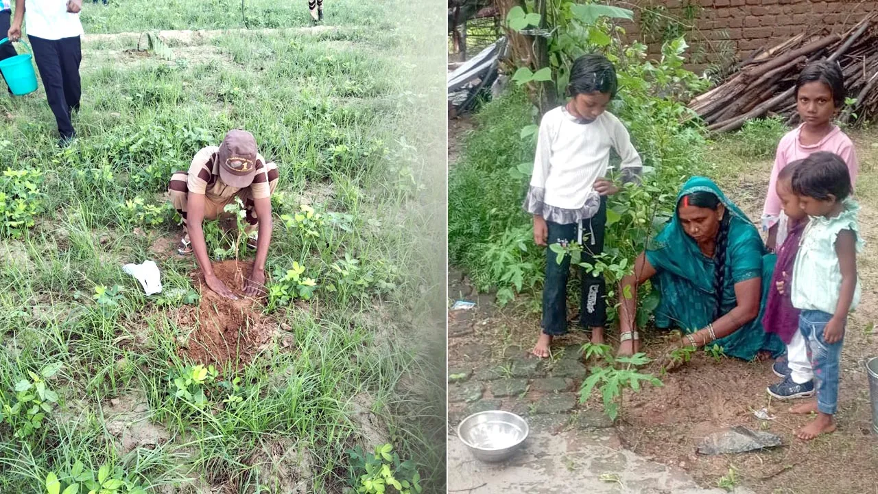 Tree Plantation: पावन अवतार दिवस पर पलामू में साध-संगत ने किया पौधारोपण, दिया पर्यावरण संरक्षण का संदेश