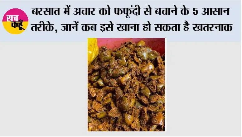 बरसात में अचार को फफूंदी से बचाने के 5 आसान तरीके, जानें कब इसे खाना हो सकता है खतरनाक