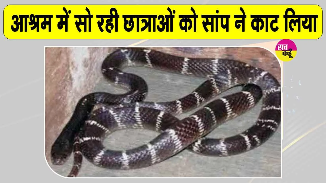 Snake News: आश्रम स्कूल में रात को सो रही थी छात्राएं, अचनाक सांप ने काटा